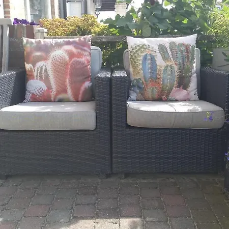 Zuid 5 زاندفورت