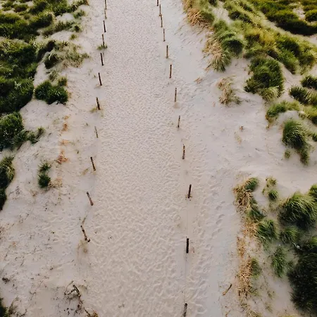 Zuid 5 زاندفورت