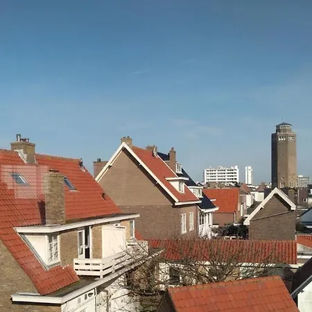 Zuid 5 *