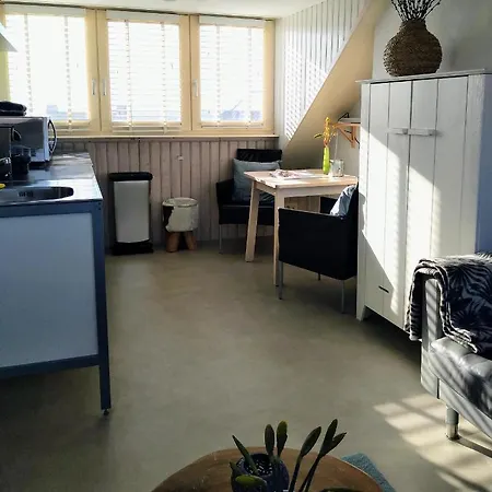 Zuid 5