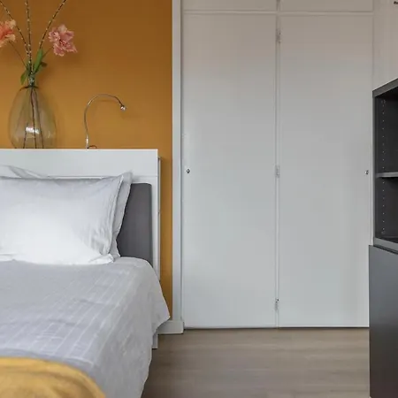 Zuid 5