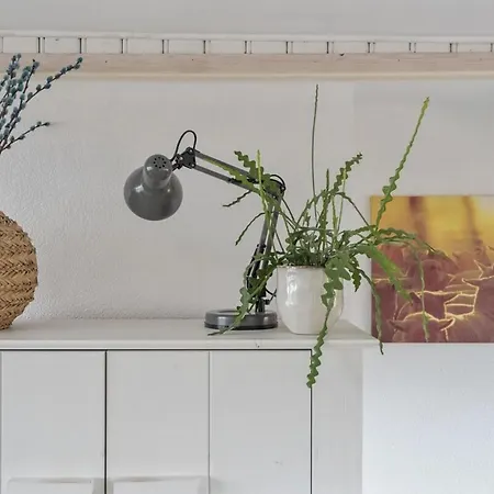 Zuid 5 Apartman *