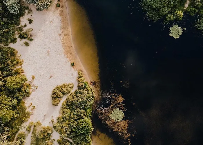 Zuid 5 * زاندفورت